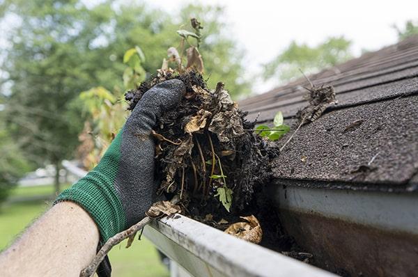 neglecting gutter cleaning can lead to clogged gutters, water damage to the home, and even pest infestations